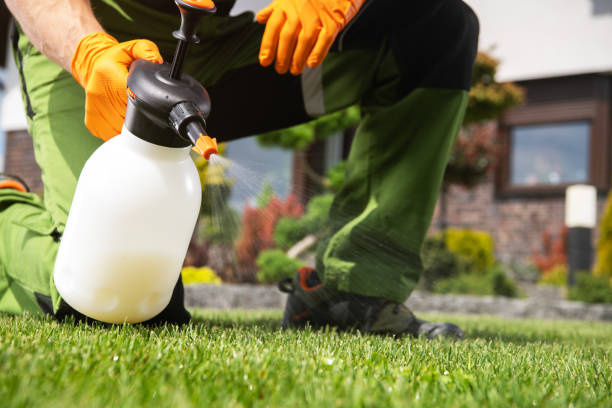 Best Residential Pest Control  in Terre Du Lac, MO